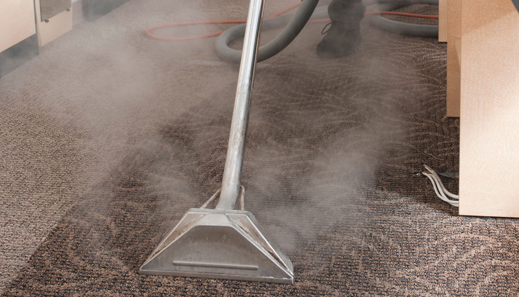 Carpet Cleaning